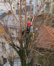 Didier Danet image 2