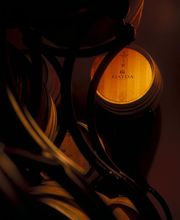 Domaine GAYDA image 11