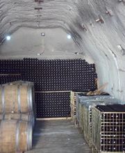 Vignoble Tévenot image 12