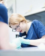 Tierklinik Fuhlsbüttel Bild 2