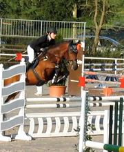 Reitschule Hess Bild 1