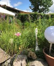 Restaurant Kastell 72172 Sulz am Neckar Hartensteinstr. 35