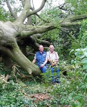 Gerjets Horst Bild 3