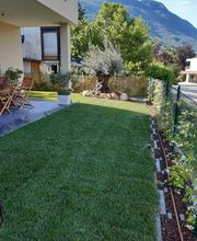 Green Artists Swiss Sagl Bild 1