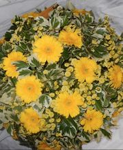 Bruckner Anne Marie image 6