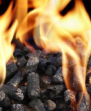 Juve Vincent image 1