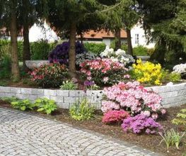 Baumschule Kreutzer Bild 6