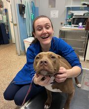 Paumanok Veterinary Hospital image 3