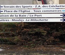 Action Publicité image 16