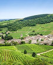 Communauté de Communes du Rouillacais image 3