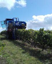 Cognac Michelet image 8