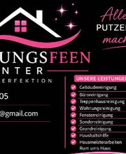 Reinigungsfee winter Bild 1