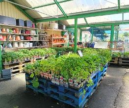 GAMM VERT image 12