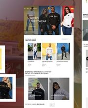 Verkaufsstarkes Webdesign | Johann Steinwand Bild 4