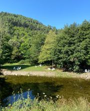 Camping Le Relais Des Brison image 17