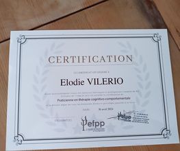 Vilerio Elodie image 1