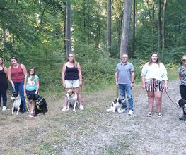 Amis Dogs 76 image 14