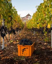 Les Fils de Charles Favre SA Bild 9