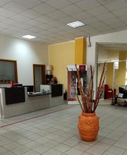 Gallery Cliente