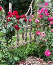Herr Gartenbau GmbH Bild 2