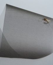 A Window Solution AG Bild 1