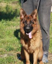 Paradis Jean Marc image 1