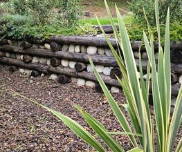 TICINO SPECIAL GARDEN SAGL Bild 4