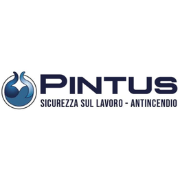 Pintus - Sicurezza sul Lavoro e Antincendio logo