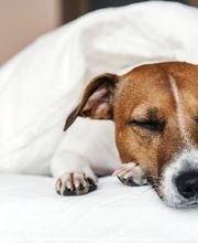 Holiday Inn - the niu, Hop Forchheim by IHG Bild 10