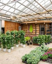 Fleurs Stempfler image 11