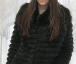 marmota_filandesa.png