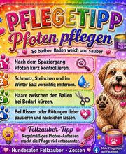 Fellzauber Bild 9