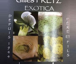Exotica image 1