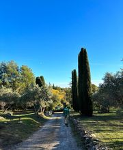 Baton paysagisme image 2