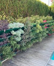 Galli Garden Sagl Bild 6