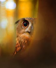 Devisia Steuerberatungsgesellschaft mbH Bild 1