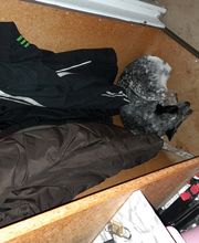 MenschUndHundZentrum Bild 37