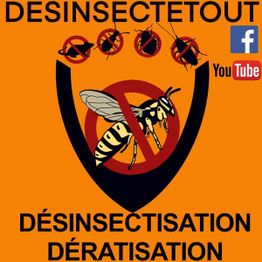 Désinsectetout