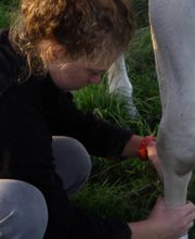 Loncke Clothilde image 7