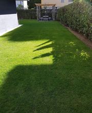 BaumGärtner - Giardini Bild 3