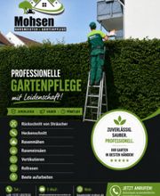 Hausmeister Mohsen Bild 2