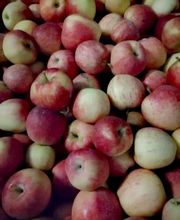 Les Vergers du Bélon image 2