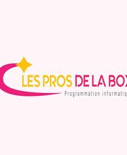 Les Pros de la Box image 1