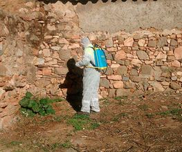ecojardines-limpieza-04.jpg