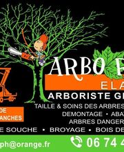 Arbo Raph image 5