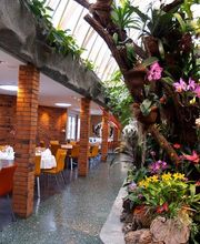 Tropenpflanzen-Restaurant Florida Bild 2