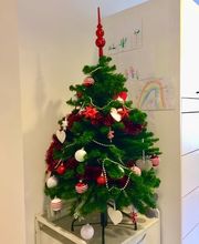 dr. med. Dapó Annamaria Bild 14