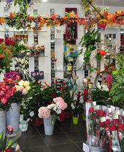 Acqua Flora image 15