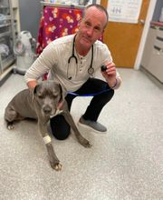 Columbia Animal Hospital image 1