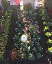 Stern Gartenbau AG Bild 11